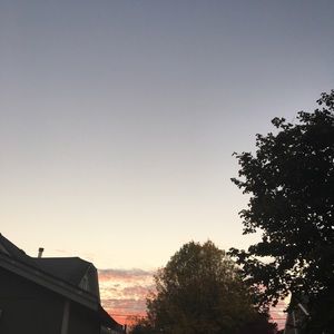 Meet your Posher, Silvia